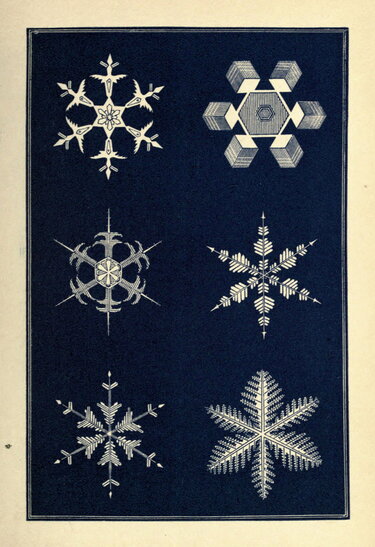 warren-snowflakes-13-resized.jpg